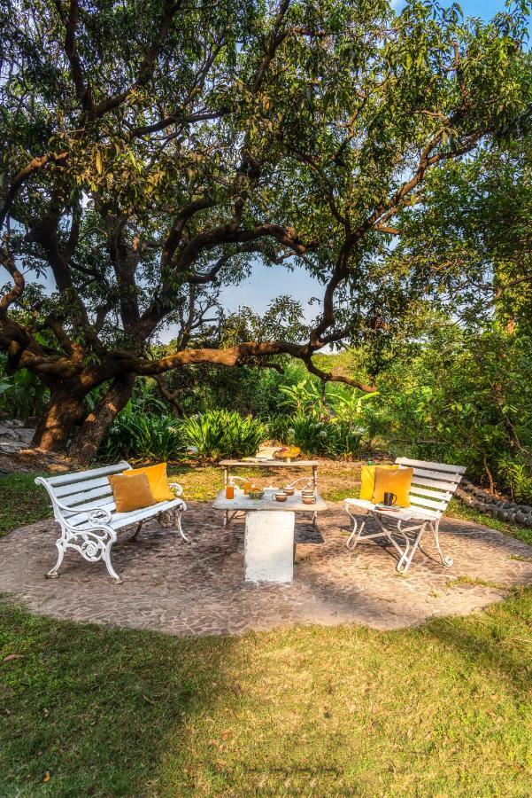 Saffronstays Chikoo Wadi- 3Bdr Pet-Friendly Villa With Pool In Boisar المظهر الخارجي الصورة